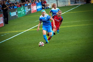 九游在线玩-中国篮球职业联赛俱乐部青训人才培养模式创新，中国篮球青训队